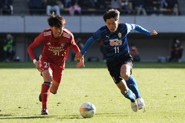 的稳健表现 的稳健表现